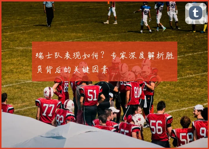 瑞士队表现如何?专家深度解析胜负背后的关键因素